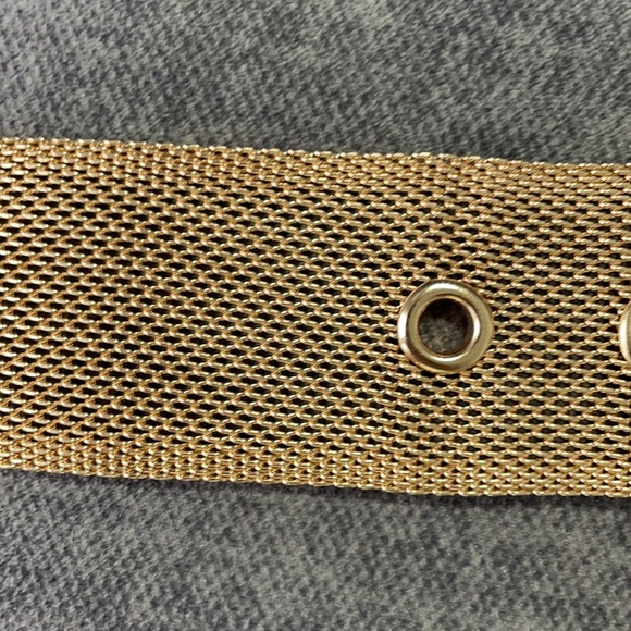 NWT 2X/3X Gold Belt for Women from No Boundaries - Picture 7 of 7